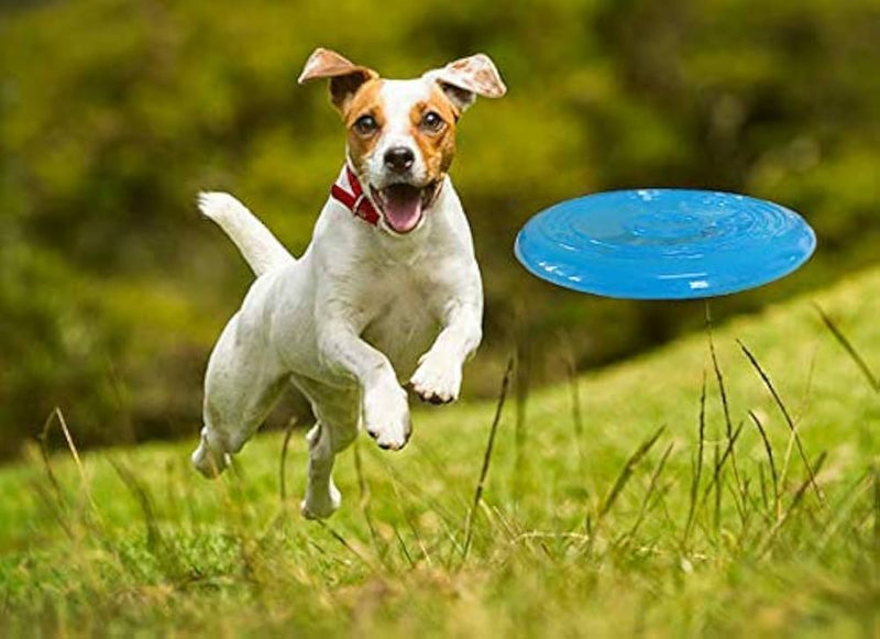 Dog Rubber Flying Disc