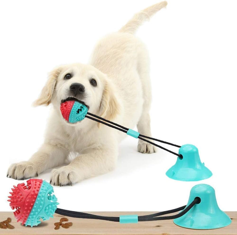 Suction Ball Interactive Dog Toy