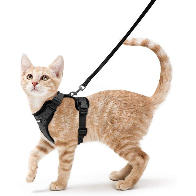 Pet Harness