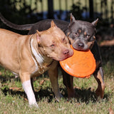 Dog Rubber Flying Disc