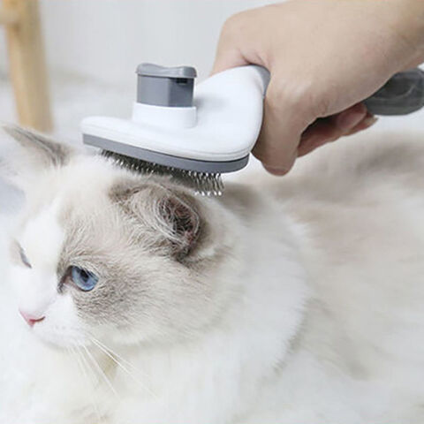 Exclusive Cat Brush