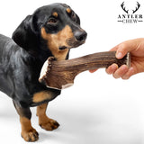 Real Wooden Deer Antlers Dog Chew Toy – Indestructible & Durable for Aggressive Chewers