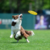 Dog Rubber Flying Disc