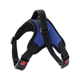 Pet Walking Harness Adjustable Comfort