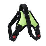 Pet Walking Harness Adjustable Comfort